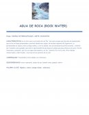 Flores de Bach 7 Sanadores