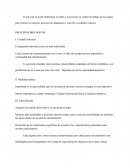 Principios del Entrenamiento Deportivo