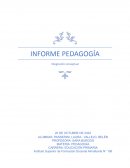 Informe pedagogía. Integración conceptual