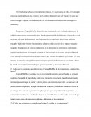 Marketing Crepes&Waffles