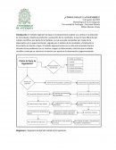¿Cómo lo hace la ingeniería?