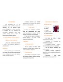 ¿Influye las gomitas a las personas q sufren de problemas digestivos o estreñimiento?