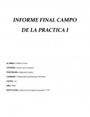 Informe final campo de la práctica
