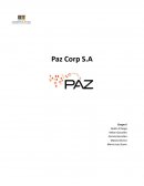 Análisis Financiero PAZ CORP S.A
