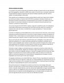 Informe accidente de trabajo