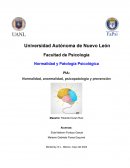 Normalidad, anormalidad, psicopatología y prevención