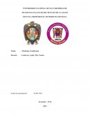 Medicina tradicional