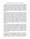 Desarrollo Sostenible: un camino hacia un futuro mas brillante