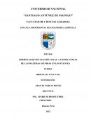 Formulas de socavación local a consecuencia de las máximas avenidas en los puentes