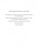 Enfoques para la Enseñanza de la Lengua Castellana