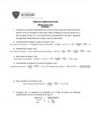 Tarea N°6: Manejo de pulpa