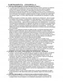 Gubernamental resumen