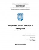 Propiedad planta y equipo e intangibles