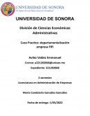 Caso Práctico: departamentalización empresa FIFI