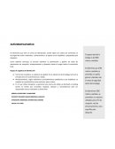 Etapas de Logística de distribución