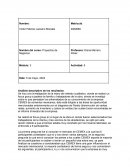 Proyectos de Negocios, empresa CEMEX