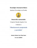 Obsolescencia programada y percibida