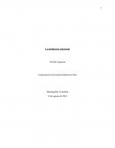 Los Padres y la Inteligencia Emocional