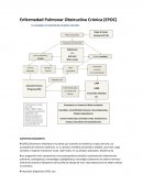 Enfermedad Pulmonar Obstructiva Crónica (EPOC)