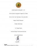 TP Practica Profesional I