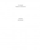 Caso integrador Fundamentos de administración