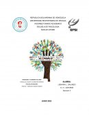 Psicologia Comunitaria. La intervención comunitaria