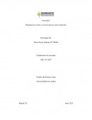 Fundamentos de mercados