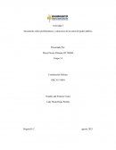 Problematicas de las ramas del poder público