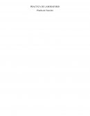 Práctica de laboratorio Prueba de Tracción