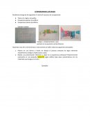 Extraordinario 1er grado