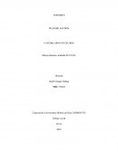 ¿Por qué es importante garantizar la participación colectiva para abordar una problemática social?