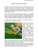 Zoología: la investigación de los animales