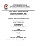 Proyecto de observación y práctica docente IV