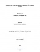 La importancia de las funciones, organización, control y staff