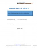 Informe final de servicio