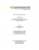 Análisis organizacional planeación y organización