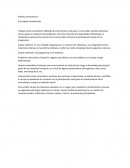 Práctica comunitaria I. Conceptos transversales