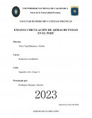 Circulación de armas de fuego en el Perú