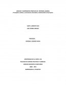 Análisis y comparativo de la reforma laboral
