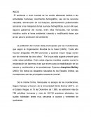 Barreras Vivas con Bambu