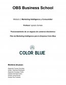 Plan de Marketing Intelligence para la Empresa Color Blue