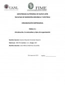 Introducción, la naturaleza y tipos de organización