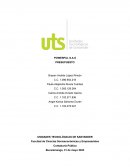 Powerful S.A.S Presupuesto