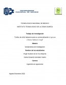 Cultivo de chile habanero para su comercialización (Capsicum Chinense Habanero Group)