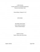 Financial Report, Company D1 S.A.S