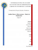 Análisis Macro y Micro entorno – Matriz de Ponderación