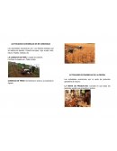 Actividades económicas de mi comunidad