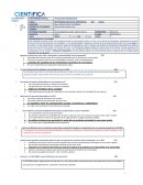 Evaluación diagnóstico RSE