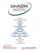 Abandono y maltrato de Mascotas en Cozumel Quintana Roo