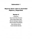 Reporte diario sobre la Actividad Higiene y Seguridad. ejemplo de submodulo 1 ARH